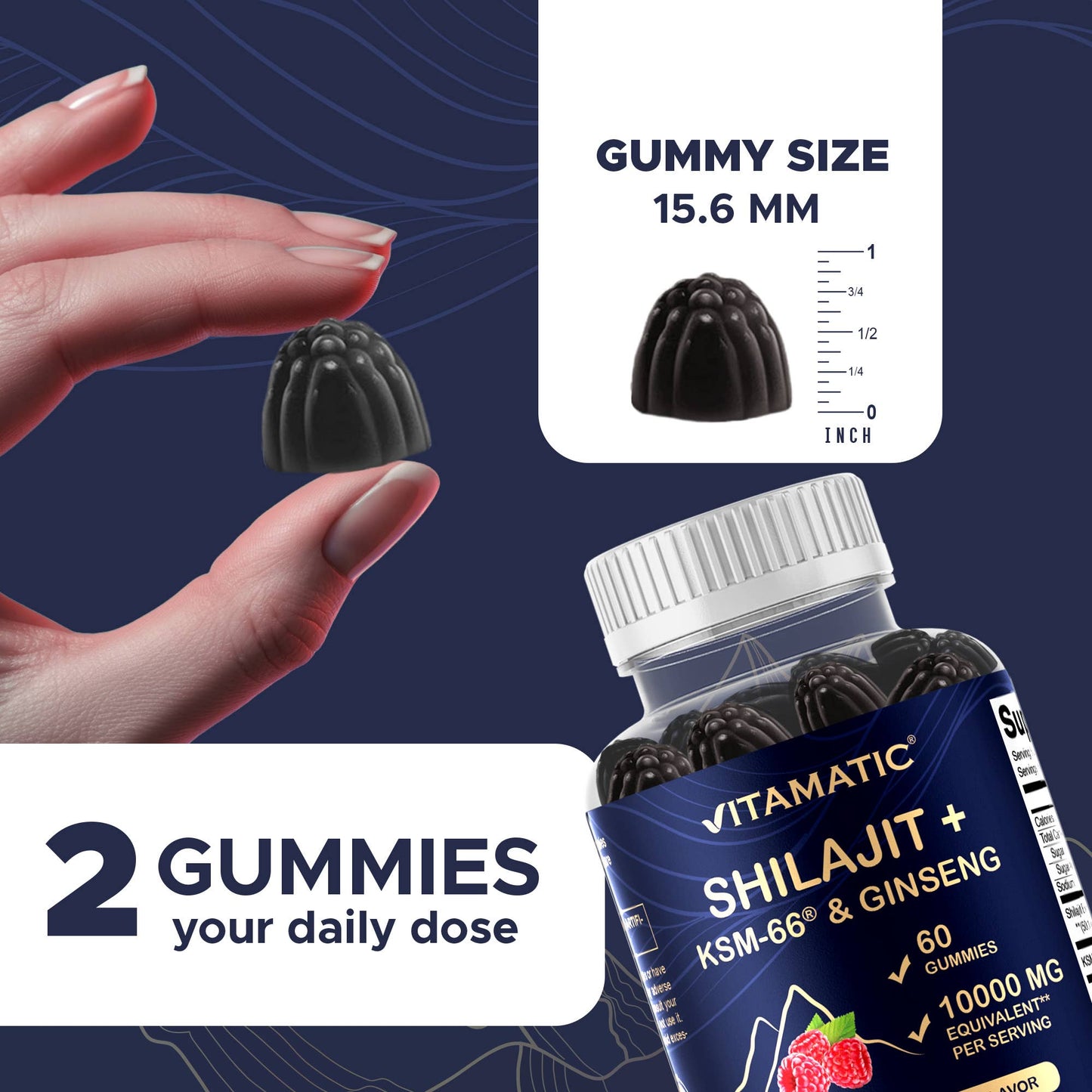 Vitamatic Shilajit with KSM-66® Ashwagandha & Ginseng-60 Ct