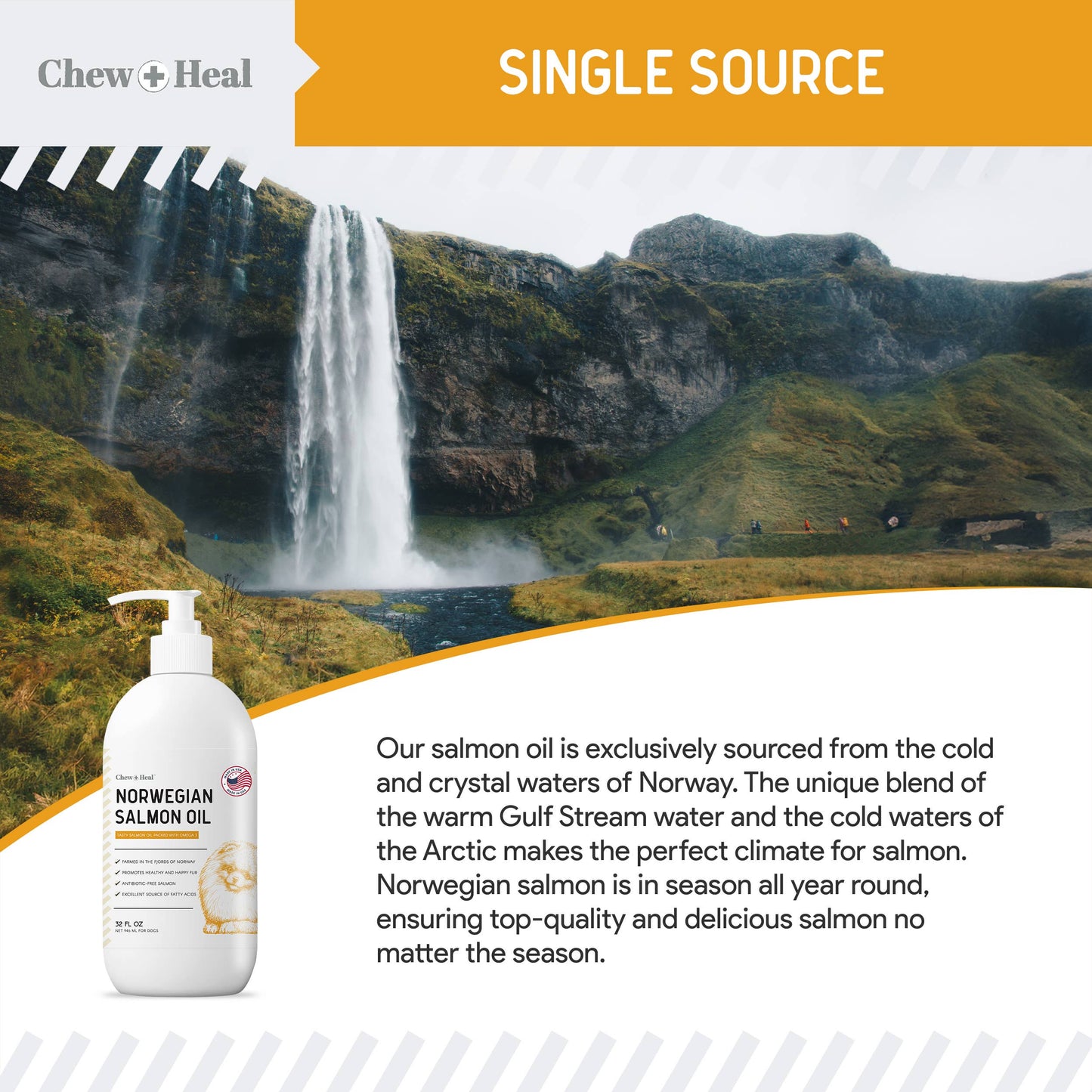 Norwegian Salmon Oil Skin & Coat Supplement for Dogs & Cats