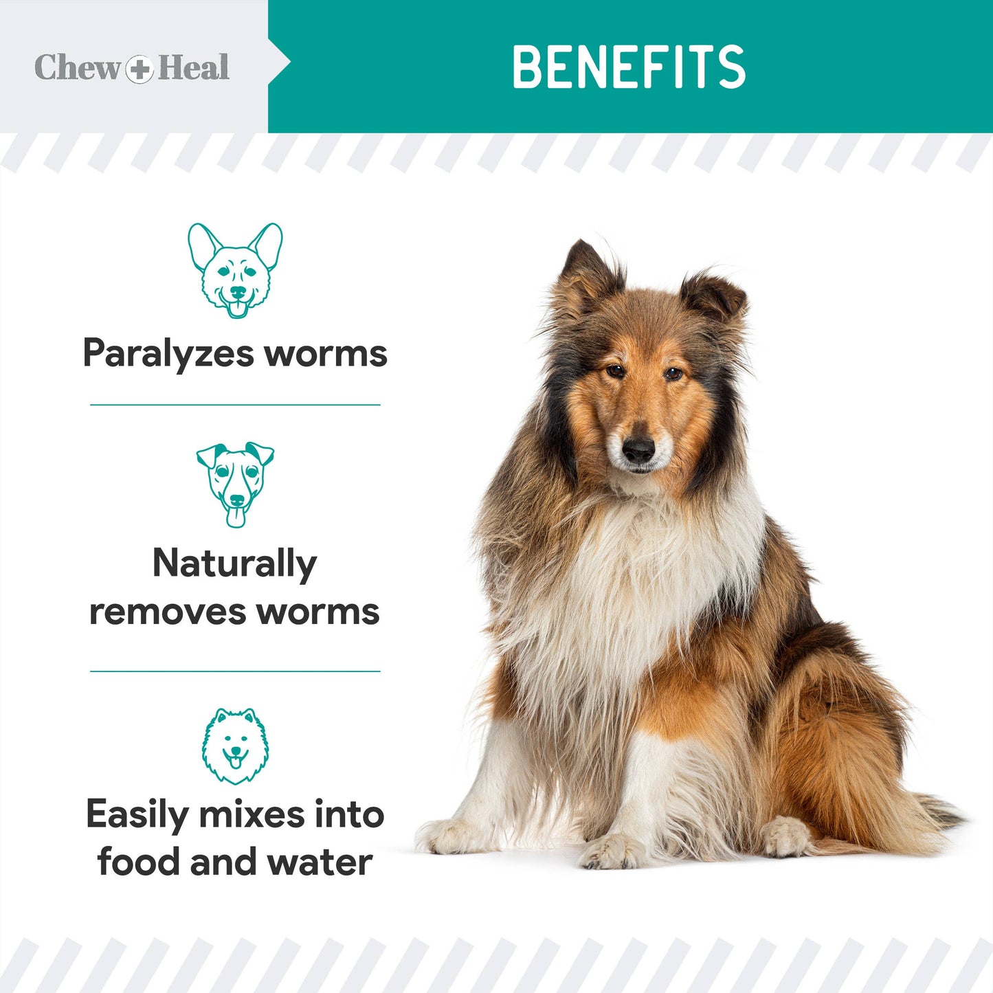 Stop The Worms Dewormer Liquid for Puppies & Kittens