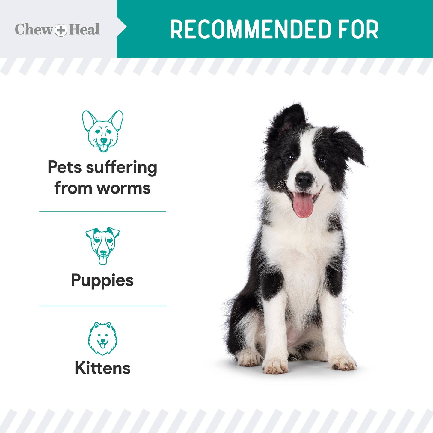 Stop The Worms Dewormer Liquid for Puppies & Kittens